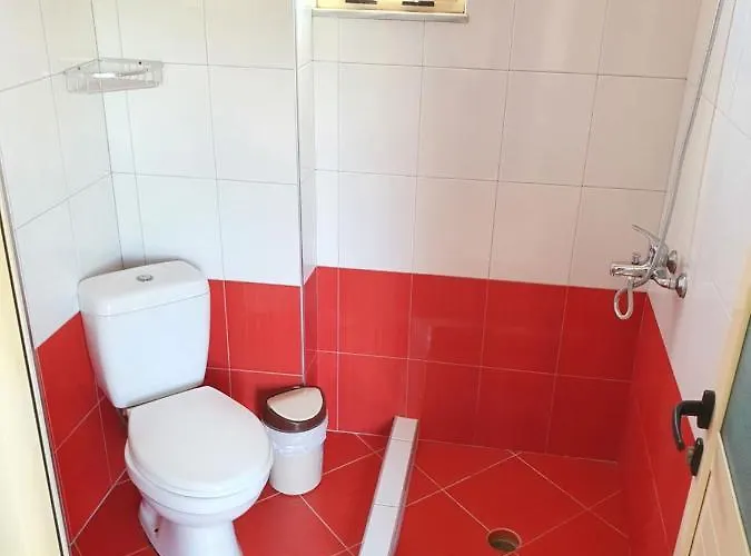 Отель Soare